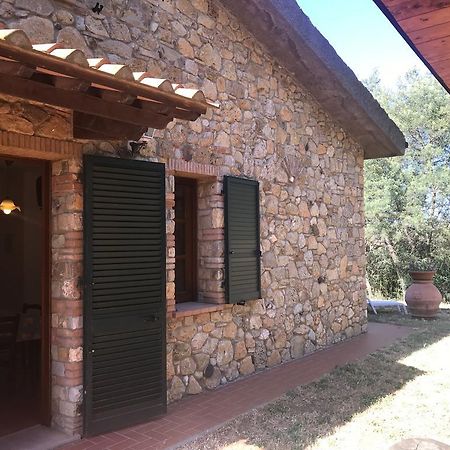La Sassetta Villa Bibbona Ngoại thất bức ảnh